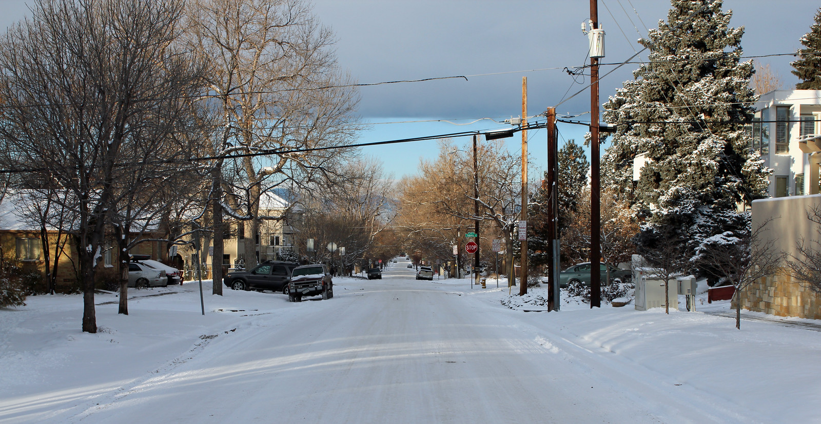 Cherry Creek North for Shopping, Food and a Walk