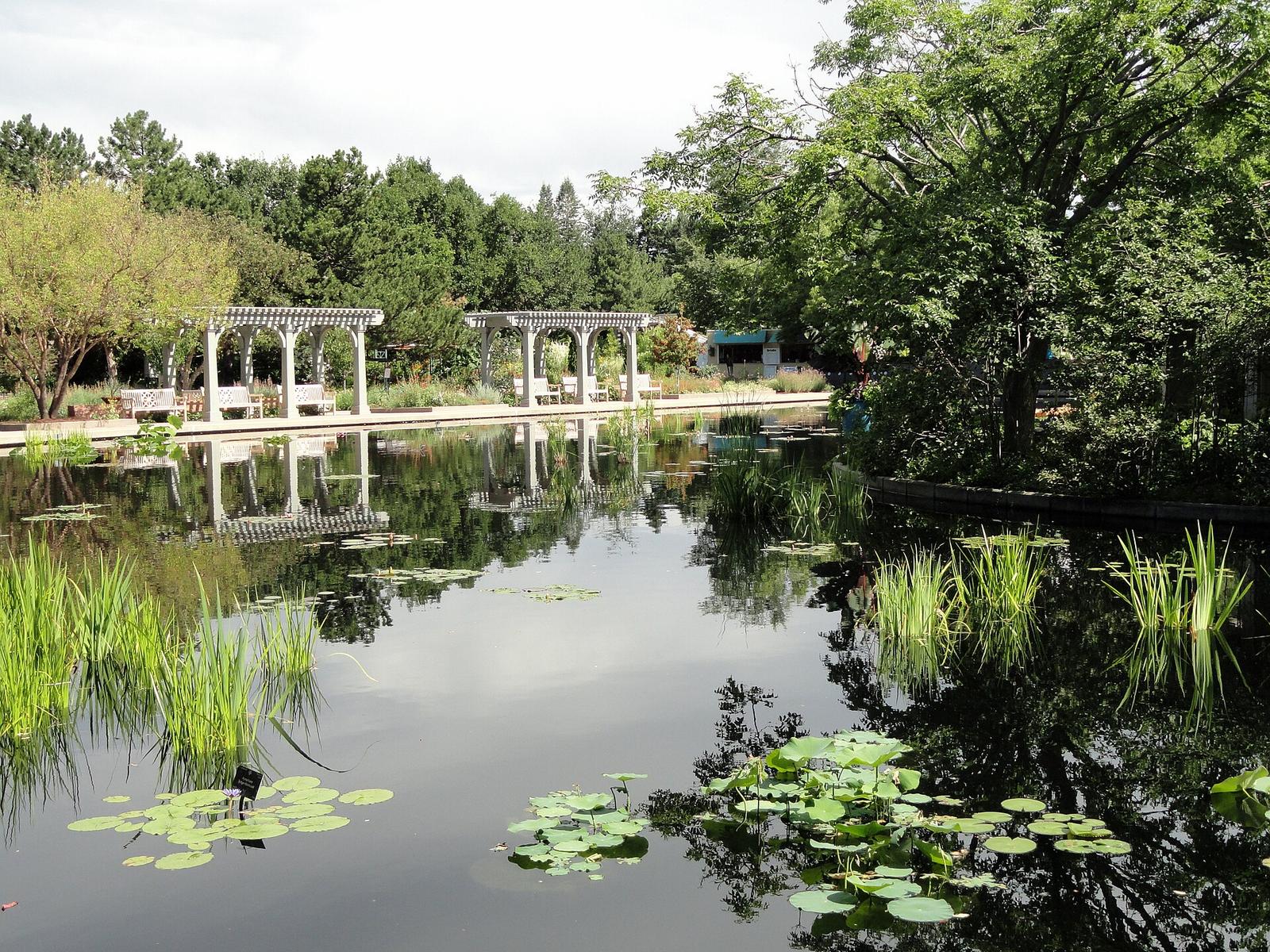 Denver Botanic Gardens DSC00981