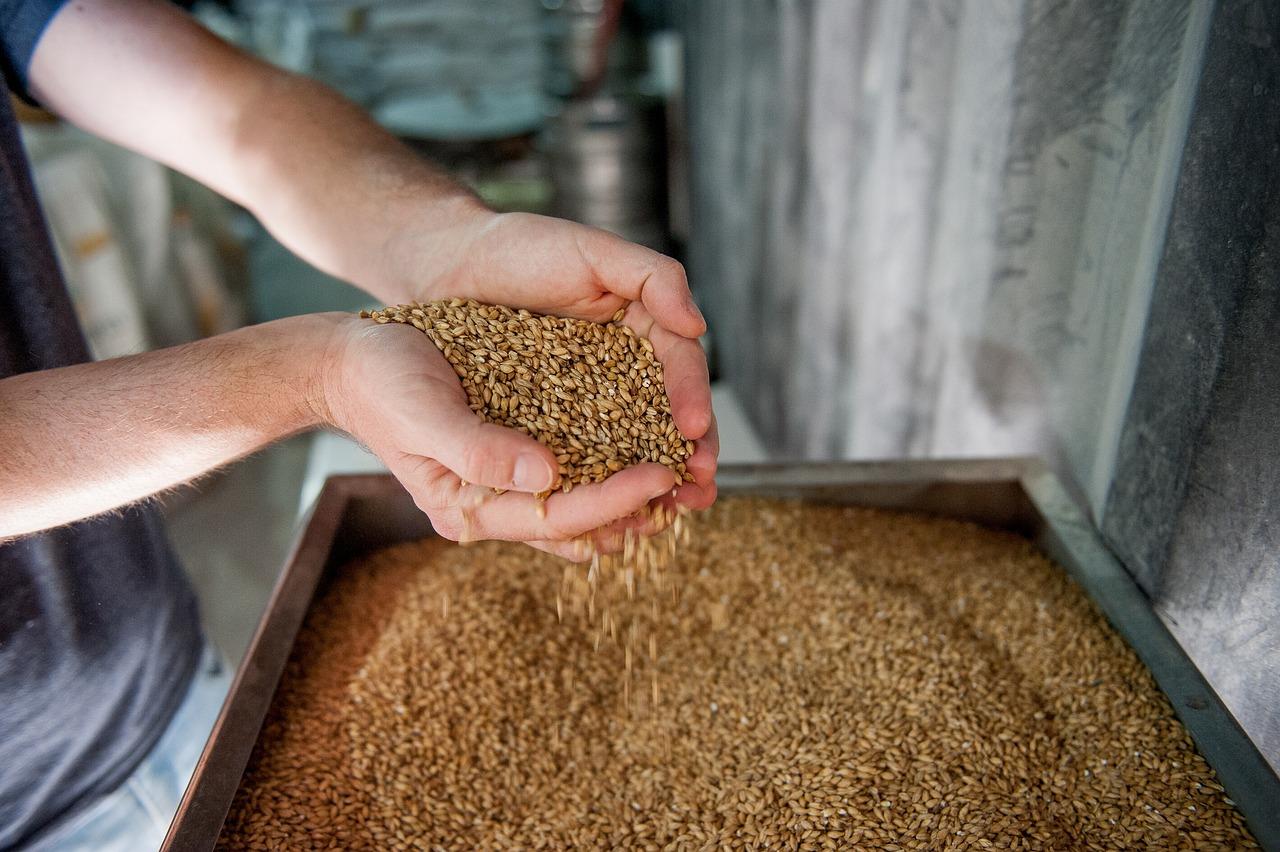 Denver's Craft Beer Scene: Breweries and the Great American Beer Festival